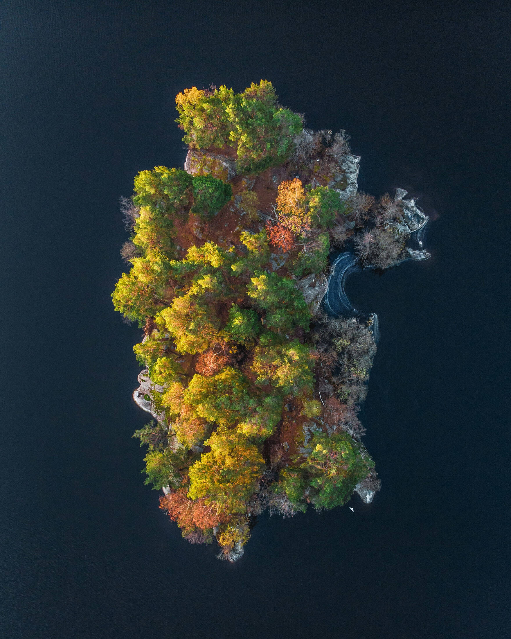 Flygfoto över ö i stockholms skärgård gård med flera röda hus omgiven av öppna marker och tät skog, fotograferad i klart dagsljus med mjuka skuggor.