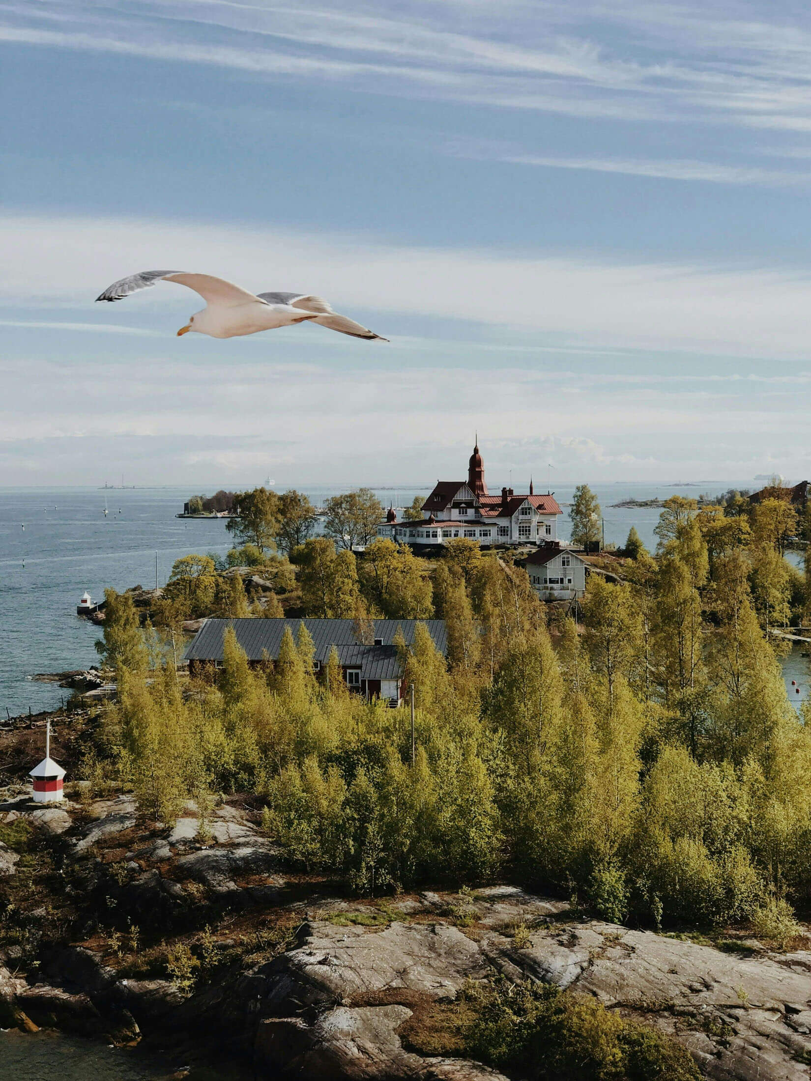 Drönarbild över kustlandskap med hus på en liten halvö, där en fågel flyger över vattnet i klart dagsljus med träd och klippor i förgrunden.