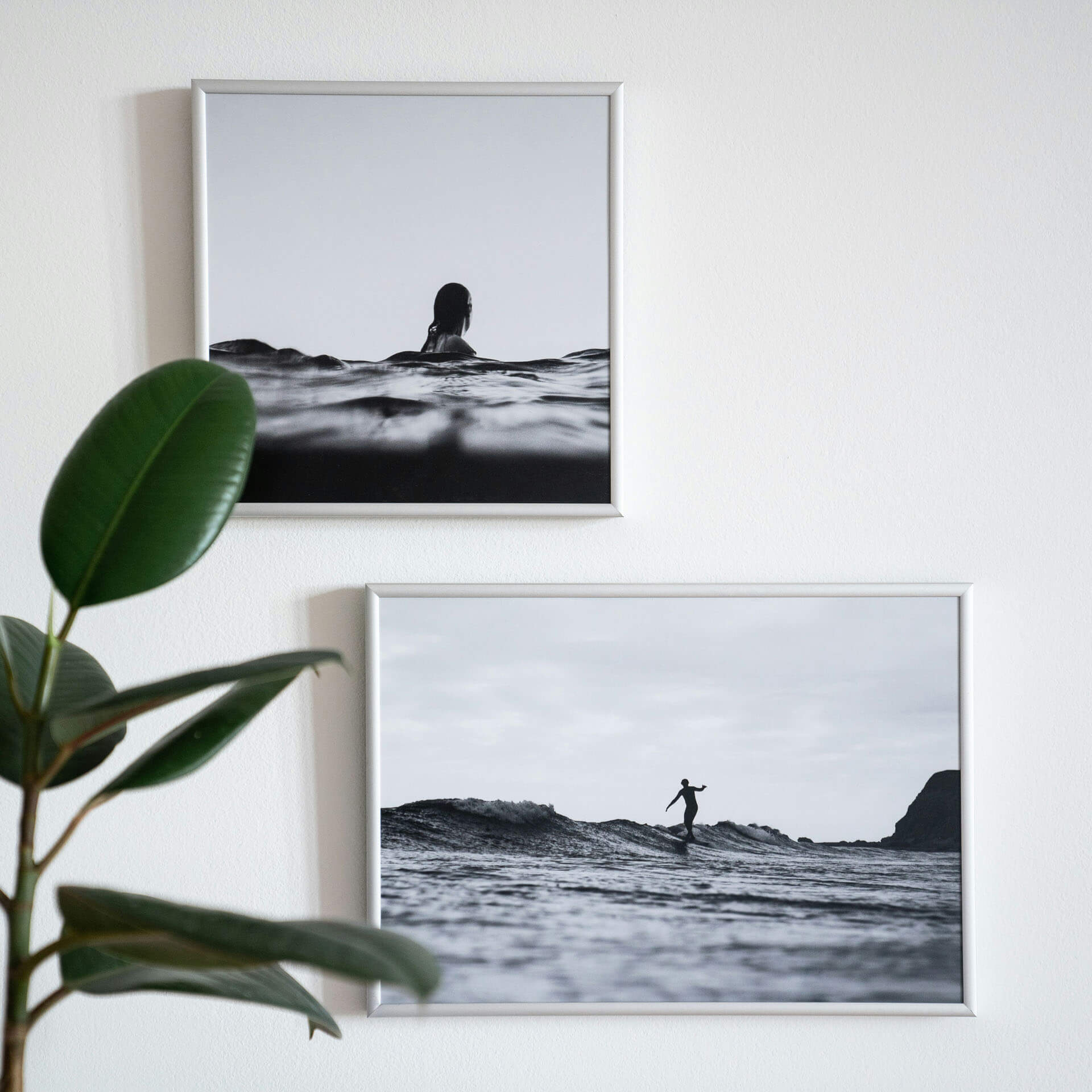 Två svartvita fotografier i vita ramar hänger på en ljus vägg, med motiv av person i vatten och surf på havsvågor, samt en grön växt i förgrunden.