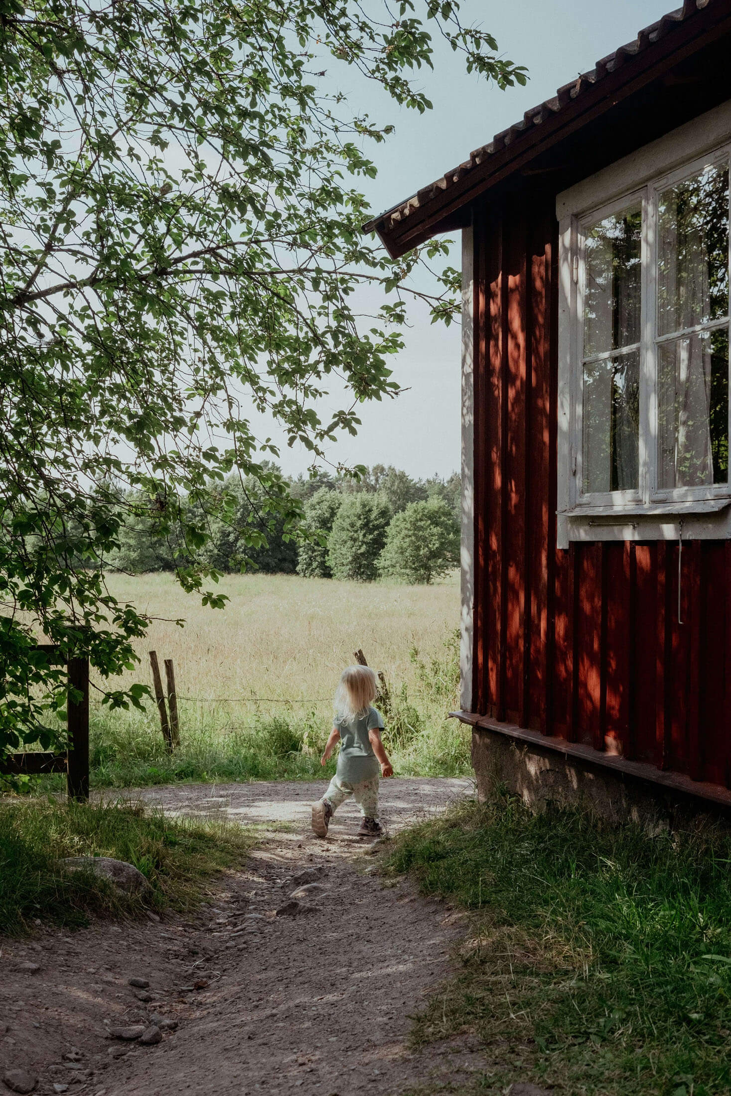 Litet barn går på en stig bredvid ett rött trähus omgivet av grönska och öppet fält, fotograferat i mjukt sommarljus med trädgrenar som ramar in scenen.